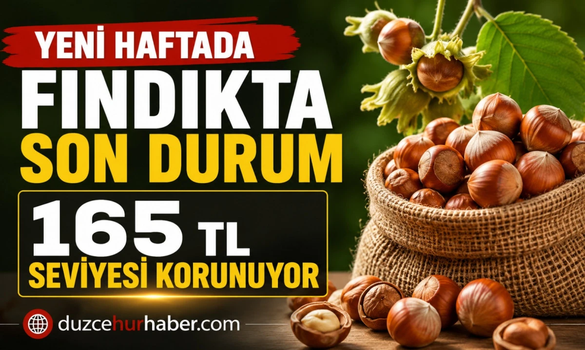 D&uuml;zce Fındık Fiyatları 23 Haziran 2026: Piyasada G&ouml;zler Yeni Fiyatlarda
