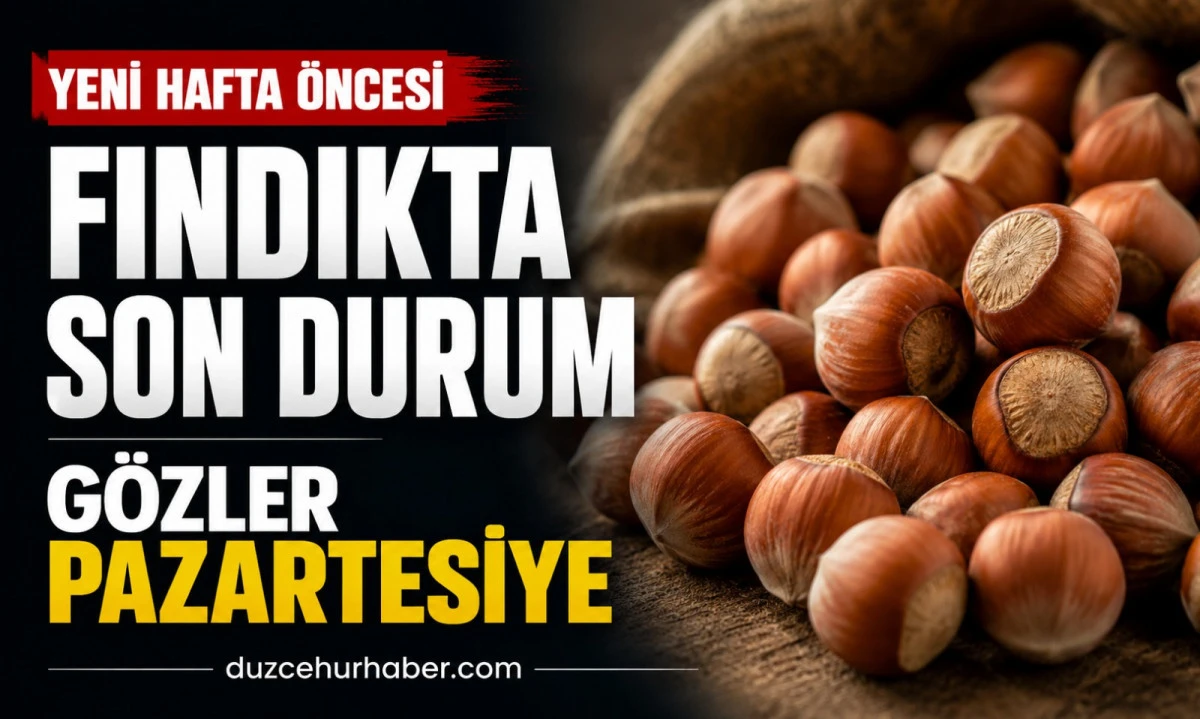 D&uuml;zce Fındık Fiyatları 23 Mayıs 2026: G&ouml;zler 25 Mayıs Pazartesi Piyasasında