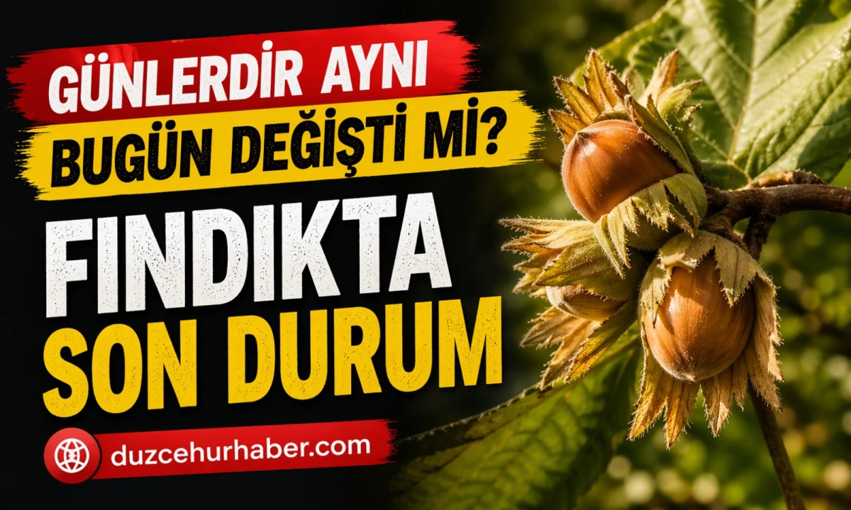 D&uuml;zce Fındık Fiyatları 23 Nisan 2026: Bug&uuml;n Değişim Var mı?