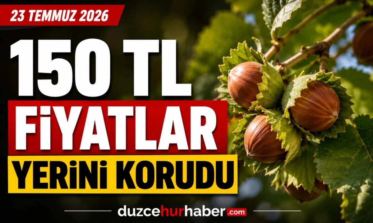 D&uuml;zce Fındık Fiyatları 23 Temmuz 2026: D&uuml;zce'de 150 TL Korunuyor! Batı Karadeniz'de Son Durum