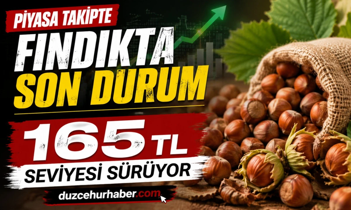 D&uuml;zce Fındık Fiyatları 24 Haziran 2026: Piyasada Dikkatler Yeni Fiyatlarda