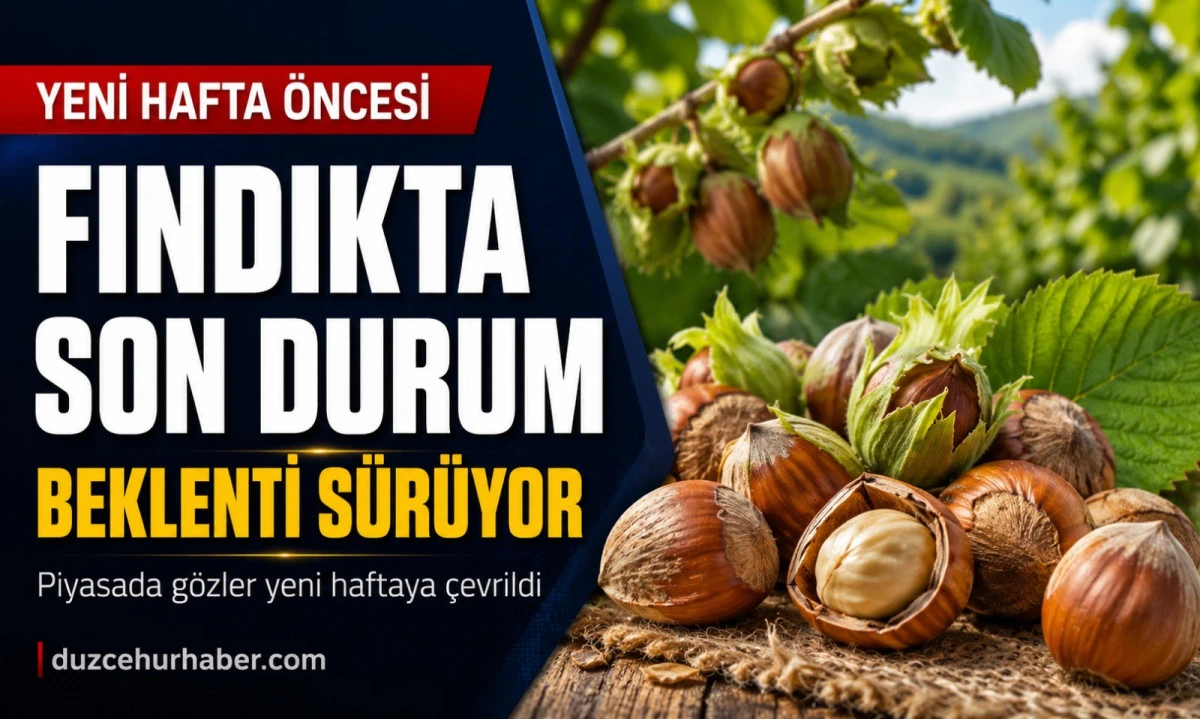 D&uuml;zce Fındık Fiyatları 24 Mayıs 2026: Piyasada G&ouml;zler Yeni Haftada