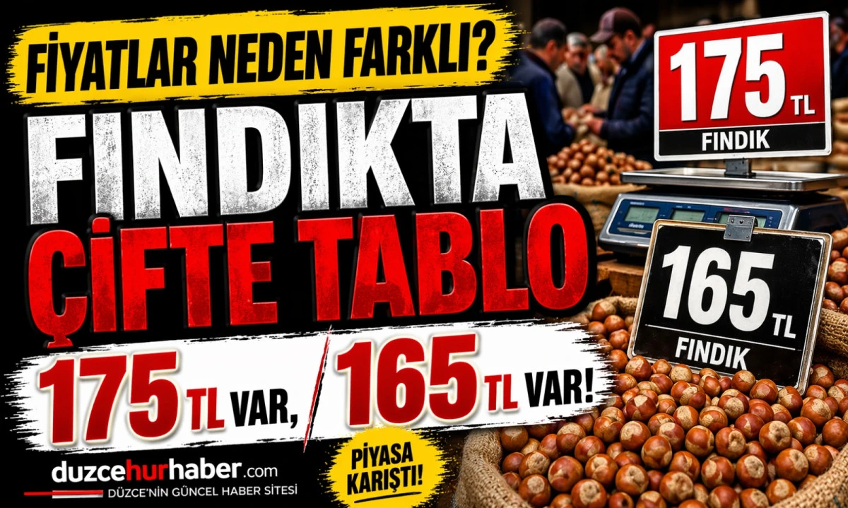 D&uuml;zce Fındık Fiyatları 24 Nisan 2026: Bug&uuml;n Piyasada Farklı Tablo