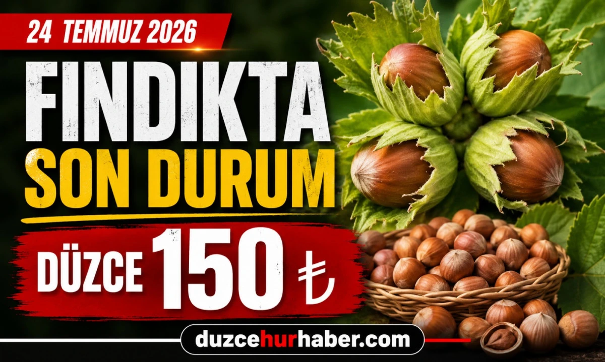 D&uuml;zce Fındık Fiyatları 24 Temmuz 2026: D&uuml;zce'de 150 TL Seviyesi Korunuyor