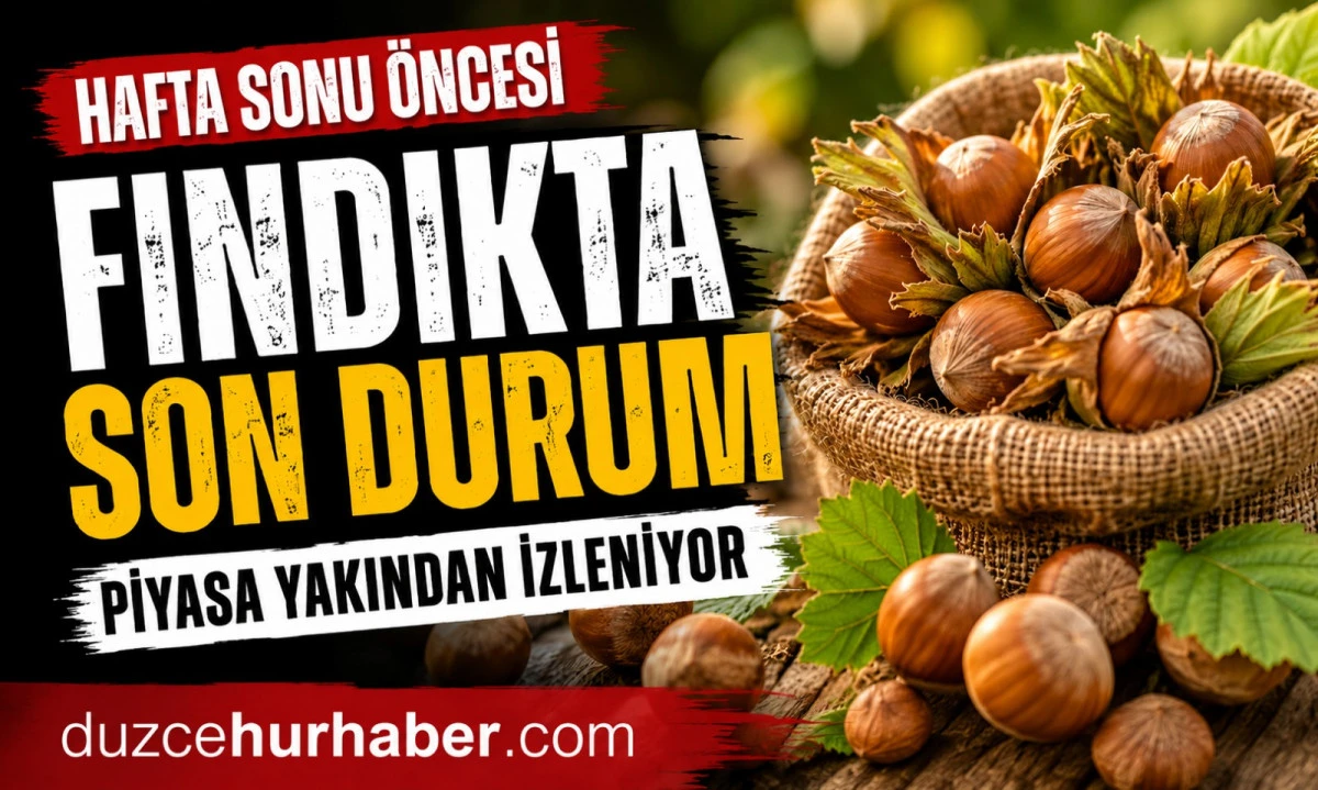 D&uuml;zce Fındık Fiyatları 25 Haziran 2026: Hafta Sonu &Ouml;ncesi Piyasada Son Durum
