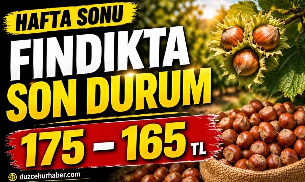 D&uuml;zce Fındık Fiyatları 25 Nisan 2026: Hafta Sonu Piyasada Son Durum