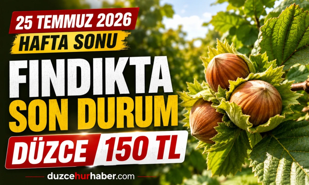 D&uuml;zce Fındık Fiyatları 25 Temmuz 2026: Hafta Sonunda Serbest Piyasada Son Durum