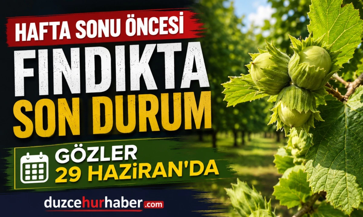 D&uuml;zce Fındık Fiyatları 26 Haziran 2026: G&ouml;zler 29 Haziran Pazartesi Piyasasında