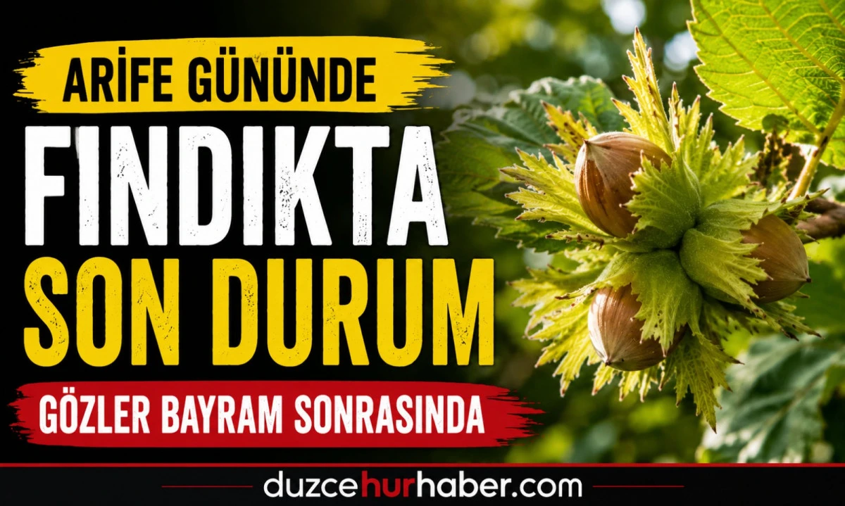D&uuml;zce Fındık Fiyatları 26 Mayıs 2026: Arife G&uuml;n&uuml;nde Piyasada Son Durum