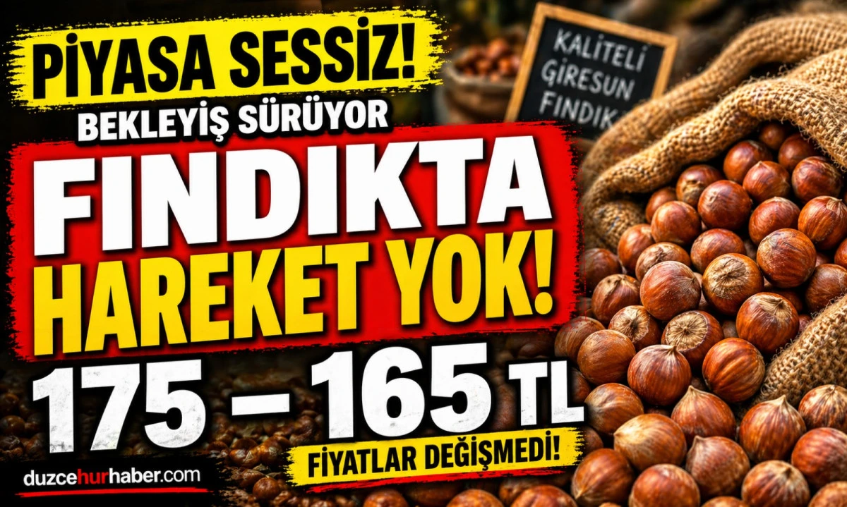 D&uuml;zce Fındık Fiyatları 26 Nisan 2026: Pazar G&uuml;n&uuml; Piyasada Son Durum