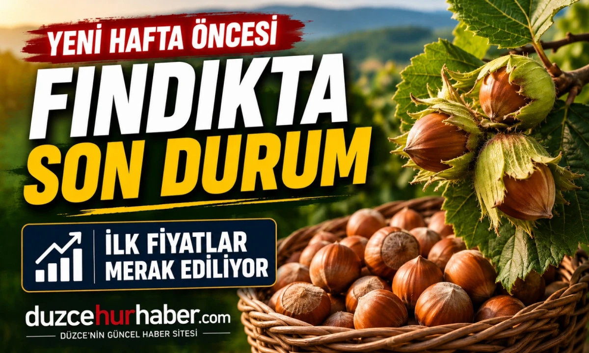 D&uuml;zce Fındık Fiyatları 27 Haziran 2026: Yeni Hafta &Ouml;ncesi Son Durum