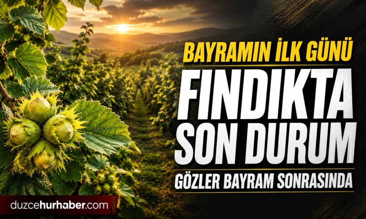 D&uuml;zce Fındık Fiyatları 27 Mayıs 2026: Bayramın İlk G&uuml;n&uuml;nde Piyasada Son Durum