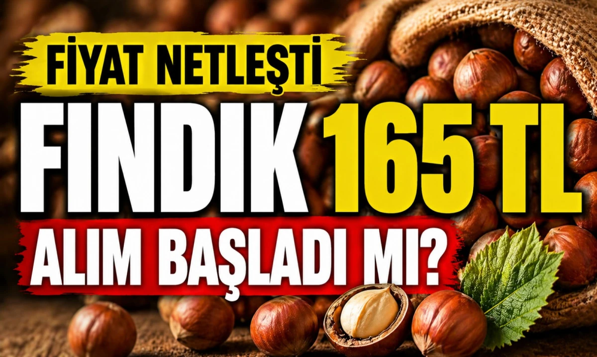 D&uuml;zce Fındık Fiyatları 27 Nisan 2026: 165 TL&rsquo;den Alım Başladı