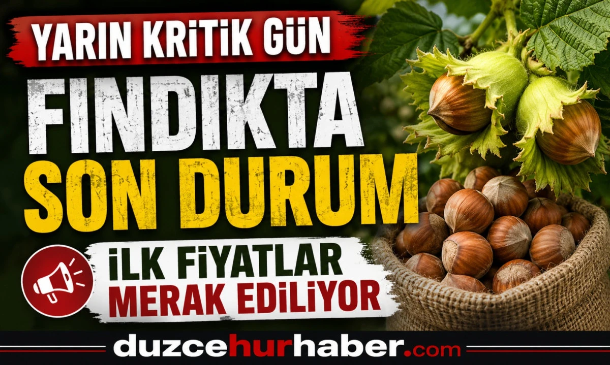 D&uuml;zce Fındık Fiyatları 28 Haziran 2026: G&ouml;zler Yarın A&ccedil;ıklanacak İlk Fiyatlarda