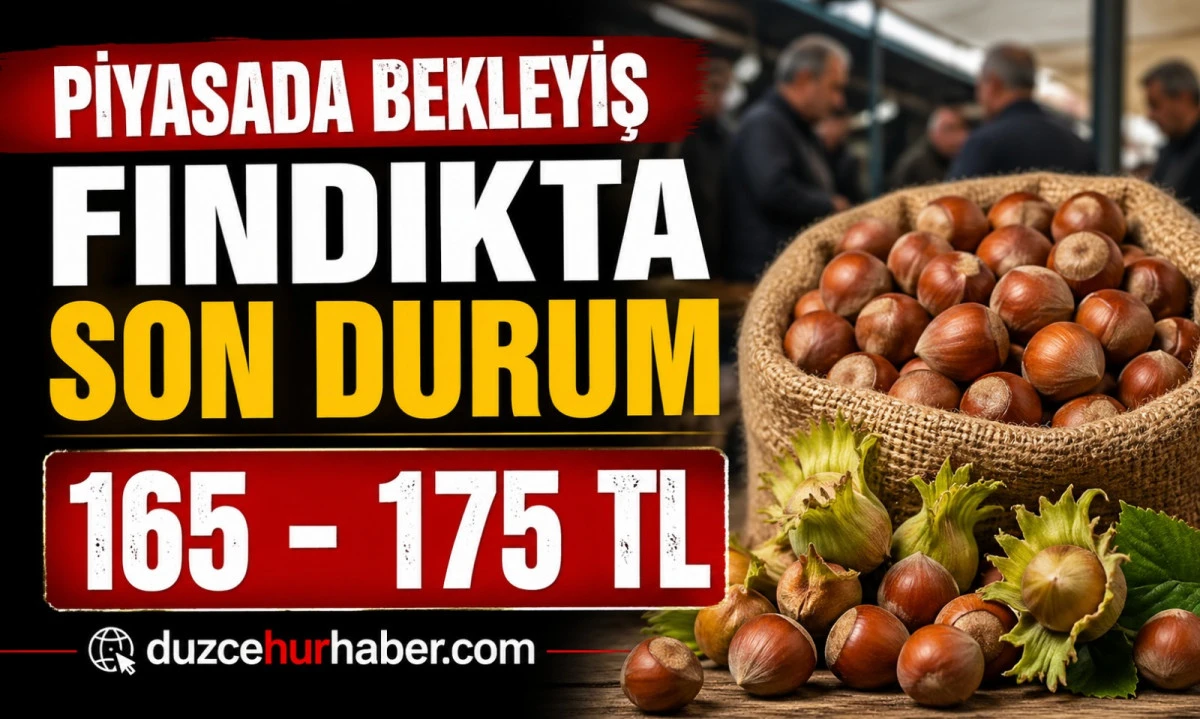 D&uuml;zce Fındık Fiyatları 28 Nisan 2026: Piyasada Bekleyiş S&uuml;r&uuml;yor