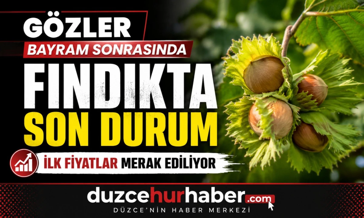 D&uuml;zce Fındık Fiyatları 29 Mayıs 2026: G&ouml;zler Bayram Sonrası İlk Piyasada