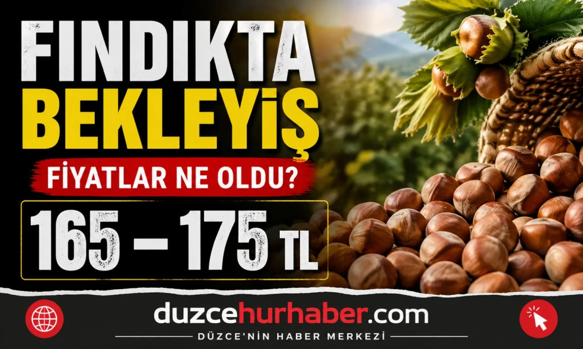 D&uuml;zce Fındık Fiyatları 29 Nisan 2026: Piyasada Bekleyiş Devam Ediyor