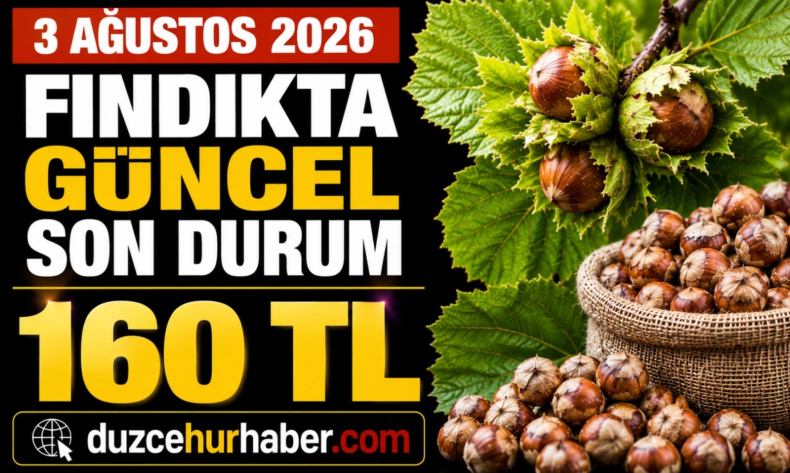 D&uuml;zce Fındık Fiyatları 3 Ağustos 2026: Beklenen Artış Geldi! D&uuml;zce 160 TL'ye Y&uuml;kseldi
