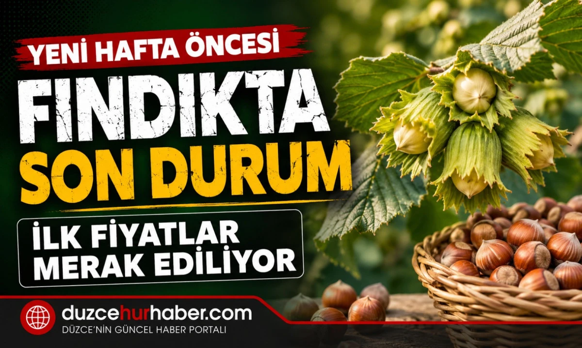 D&uuml;zce Fındık Fiyatları 31 Mayıs 2026: Yeni Hafta &Ouml;ncesi Piyasada Son Durum