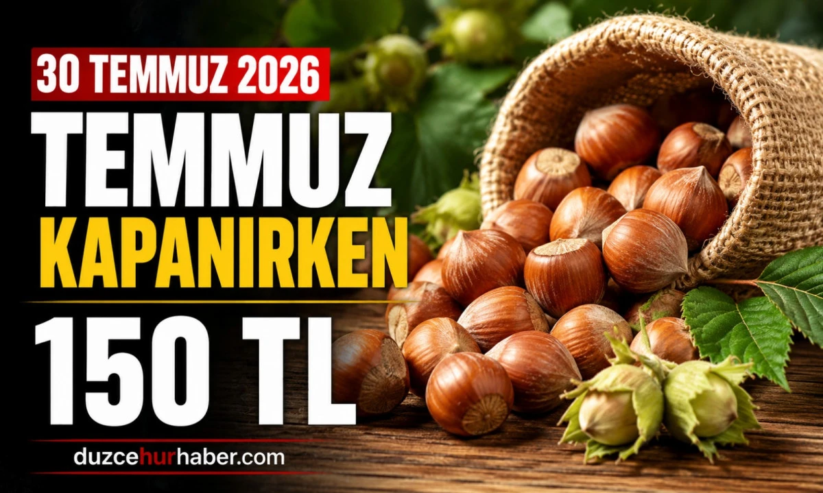 D&uuml;zce Fındık Fiyatları 31 Temmuz 2026: Temmuz Ayı 150 TL Seviyesiyle Tamamlanıyor