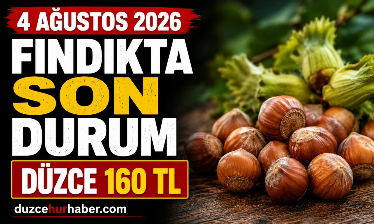 D&uuml;zce Fındık Fiyatları 4 Ağustos 2026: Serbest Piyasada Son Durum