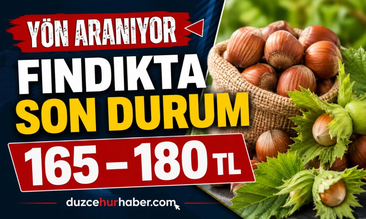 D&uuml;zce Fındık Fiyatları 6 Mayıs 2026: Piyasa Y&ouml;n Arıyor