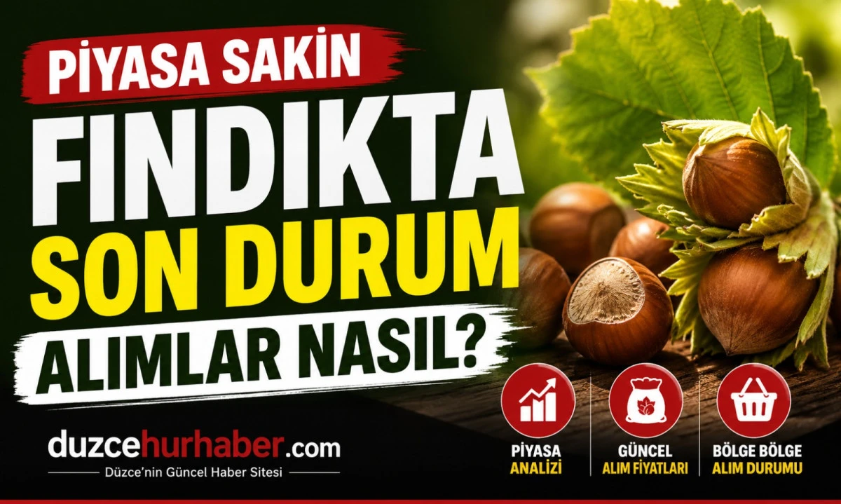 D&uuml;zce Fındık Fiyatları 7 Mayıs 2026: Piyasada Sakin G&ouml;r&uuml;n&uuml;m