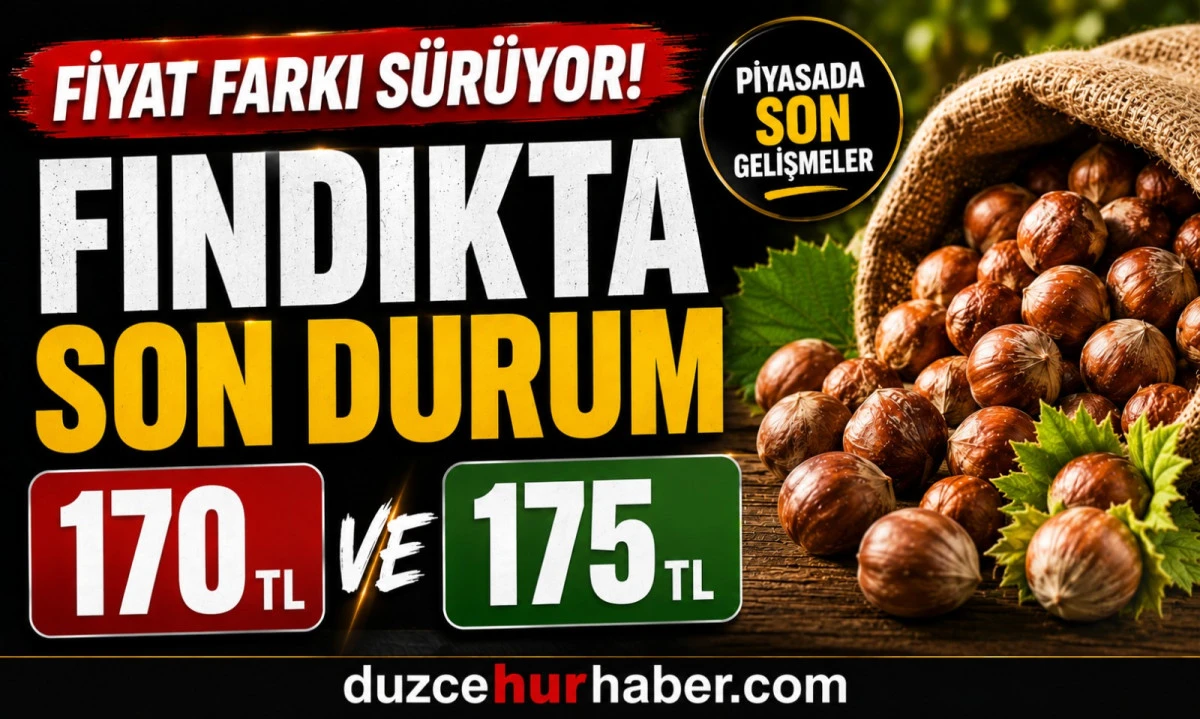 D&uuml;zce Fındık Fiyatları 8 Mayıs 2026: 170 TL ve 175 TL Detayı