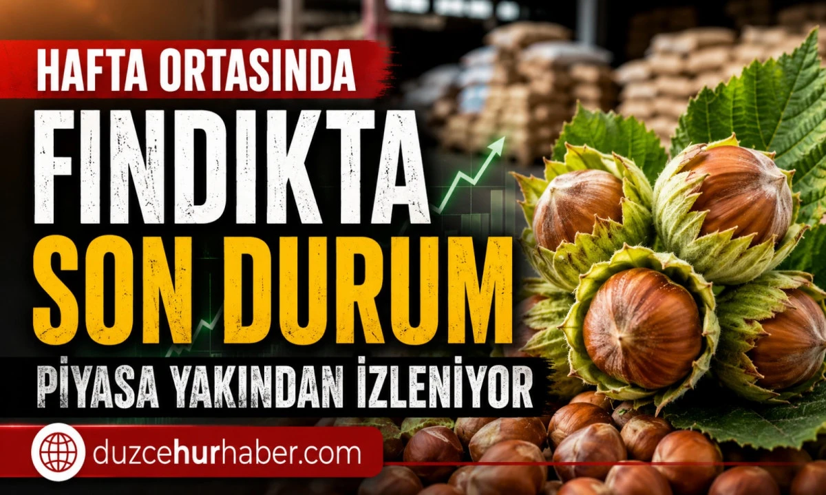 D&uuml;zce Fındık Fiyatları 8 Temmuz 2026: Hafta Ortasında Piyasada Son Durum