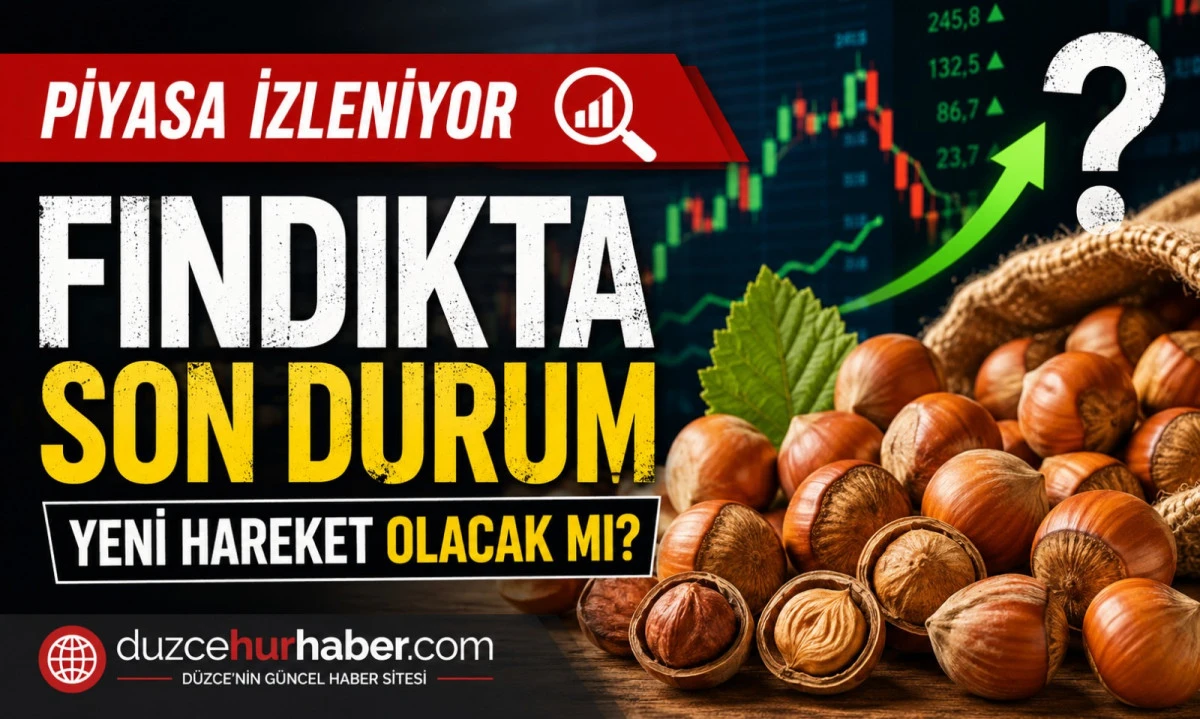 D&uuml;zce Fındık Fiyatları 9 Haziran 2026: Piyasada Son Durum Yakından Takip Ediliyor