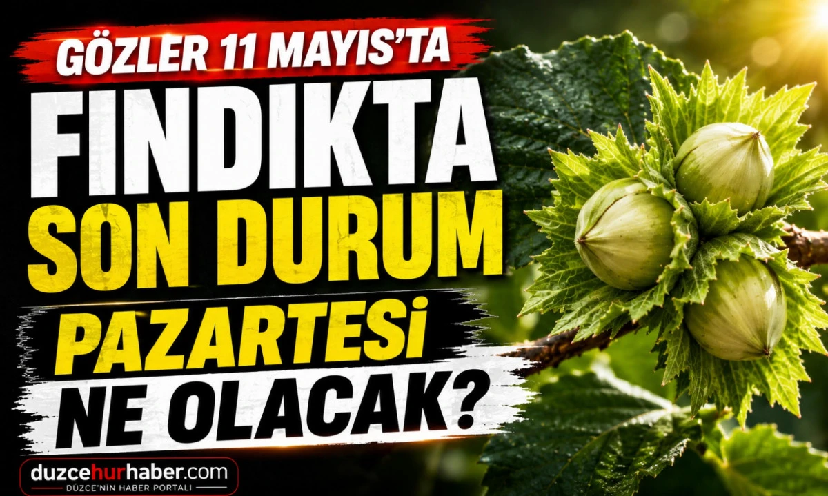 D&uuml;zce Fındık Fiyatları 9 Mayıs 2026: G&ouml;zler 11 Mayıs Pazartesi Piyasasında