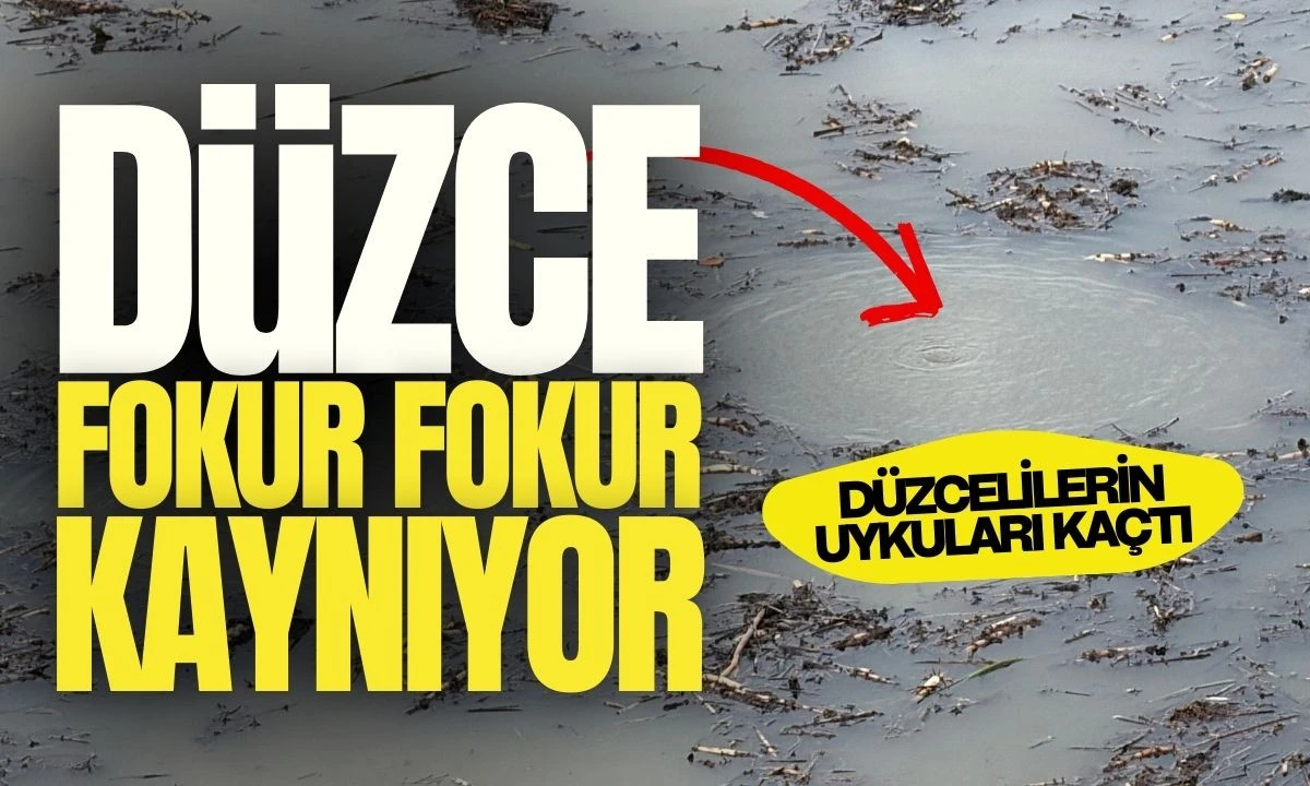 Düzce fokur fokur kaynıyor: Düzcelilerin Uykuları kaçtı