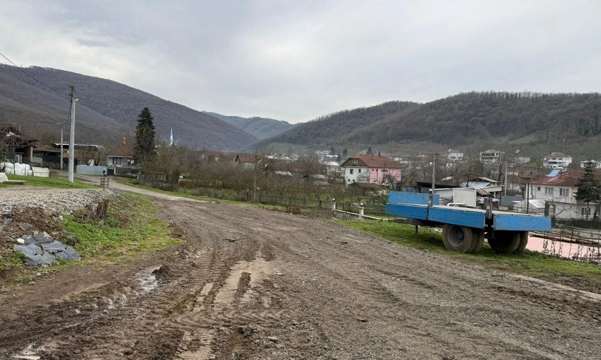 D&uuml;zce G&ouml;lyaka Yol Bakım Tamamlandı