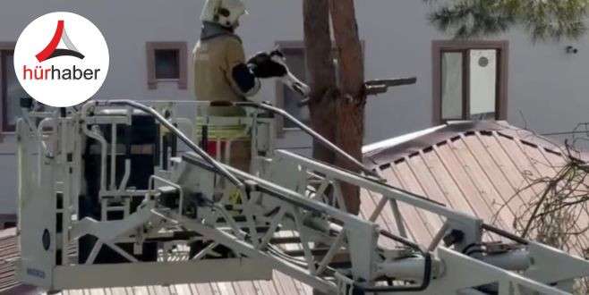 Düzce itfaiye eri, kediyi mahsur kaldığı yerden kurtardı