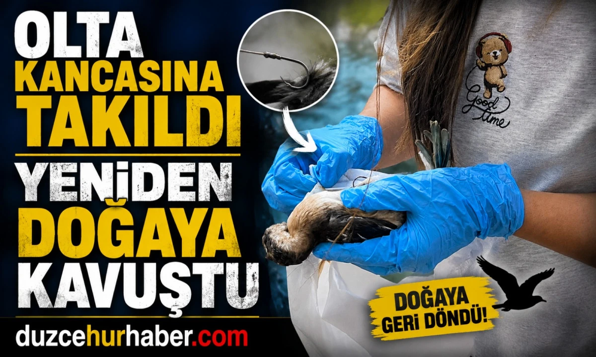 D&uuml;zce, olta kancası, yavru kuş, doğaya kavuştu