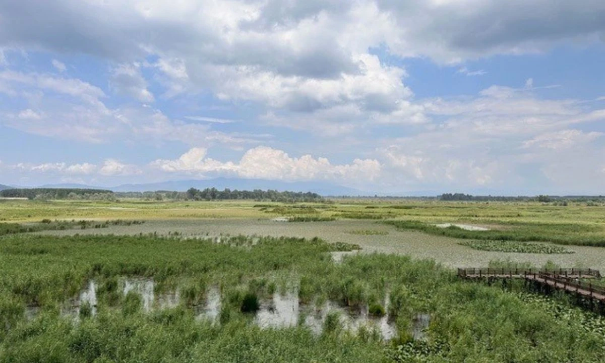 D&uuml;zce &Uuml;niversitesi&rsquo;nden D&uuml;zce ve İstanbul&rsquo;un su g&uuml;venliği i&ccedil;in alternatif bir y&ouml;ntem
