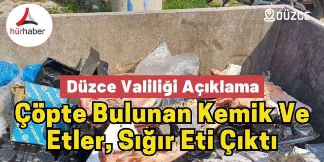 Düzce Valiliği duyurdu! Çöpte bulunan kemik ve etler, sığır eti çıktı