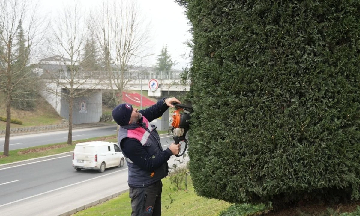 D&uuml;zce Yeşil Alanlar Bahar Temizliği