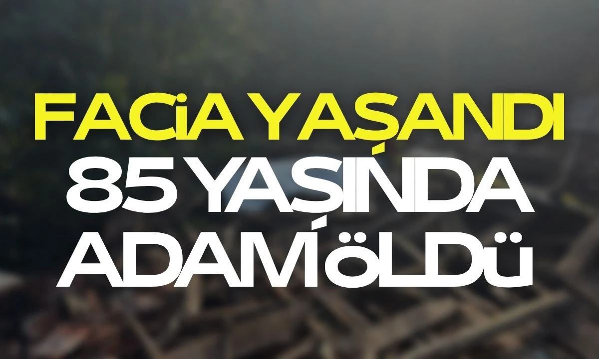 Düzce'de Ahşap Söküm Faciası:85 Yaşında Adam Öldü