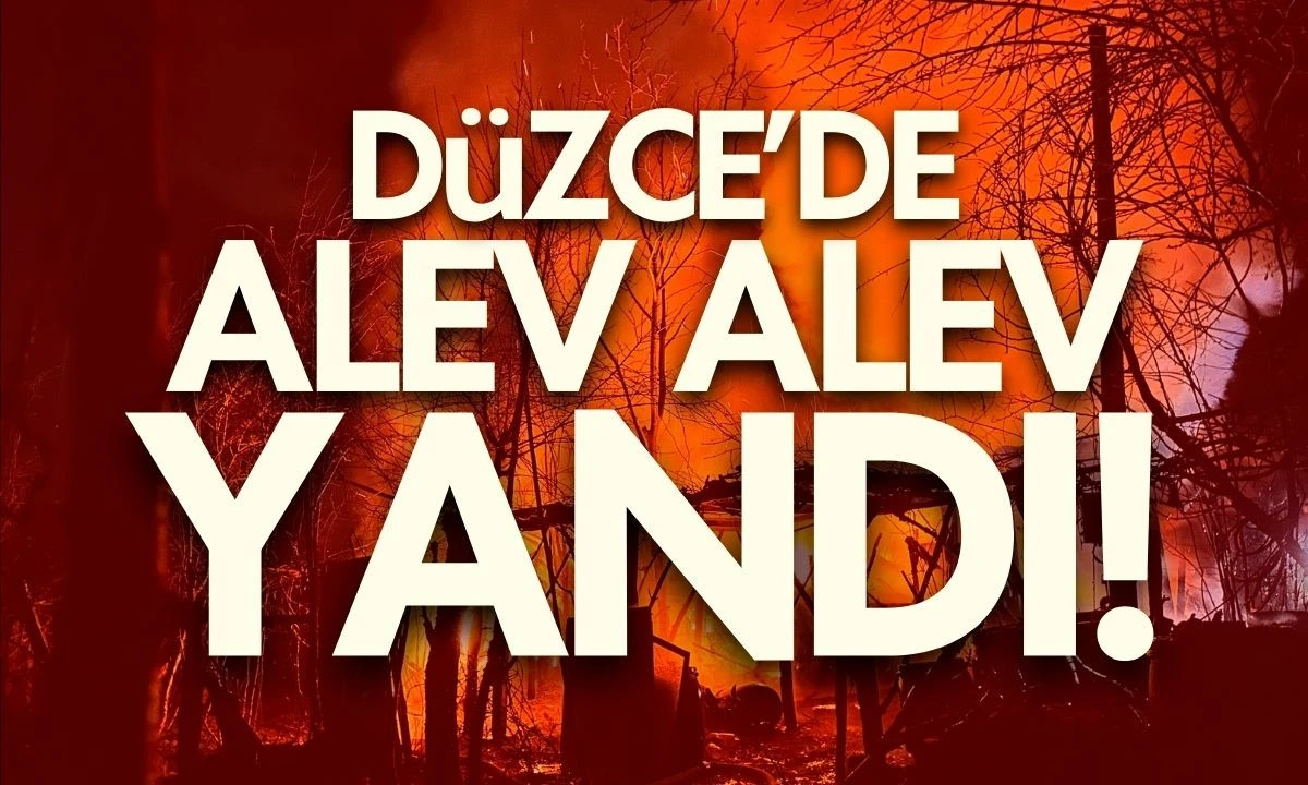 D&uuml;zce'de alev alev yandı &ccedil;ok sayıda ekip sevk edildi 