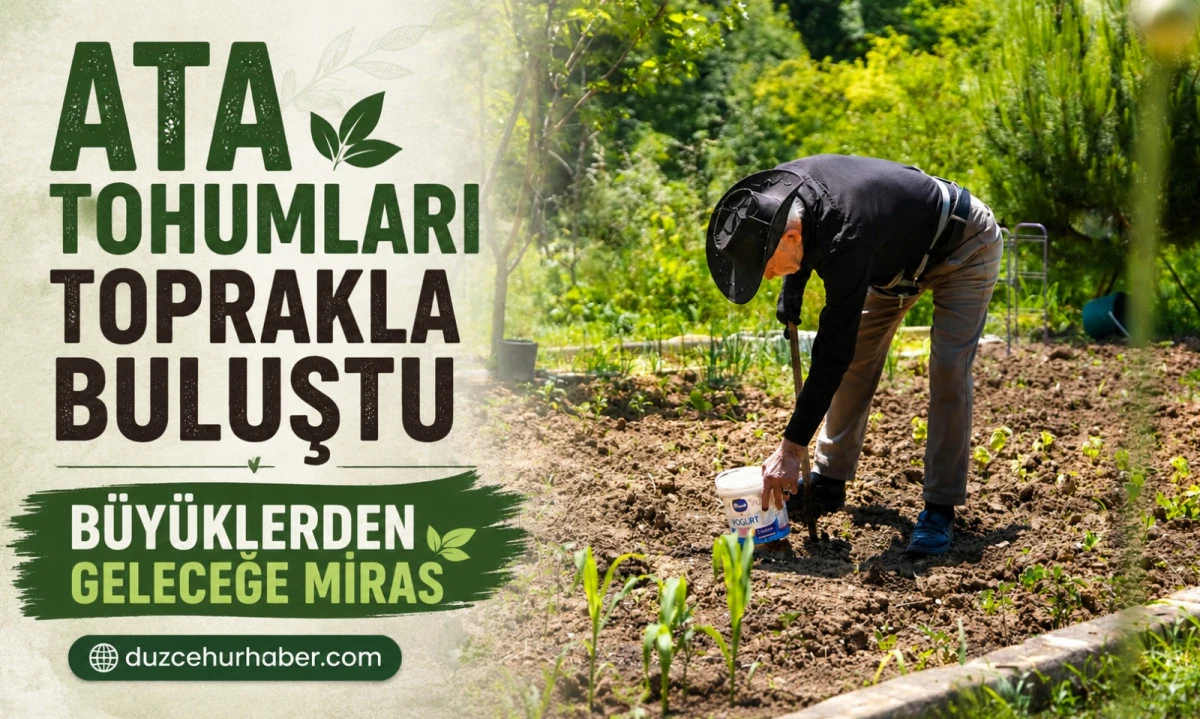 D&uuml;zce&rsquo;de Ata Tohumları B&uuml;y&uuml;klerin Ellerinde Toprakla Buluştu