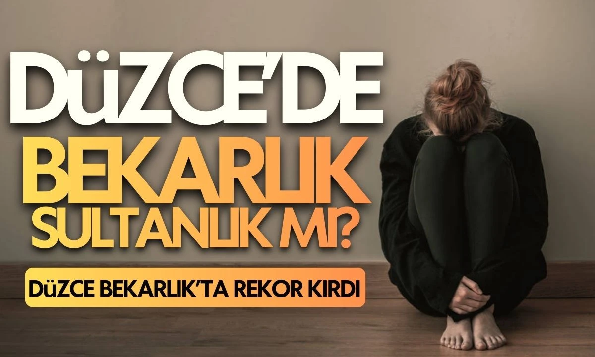 D&uuml;zce'de Bekarlık sultanlık mı? D&uuml;zce'de Bekar ve Evli sayısı