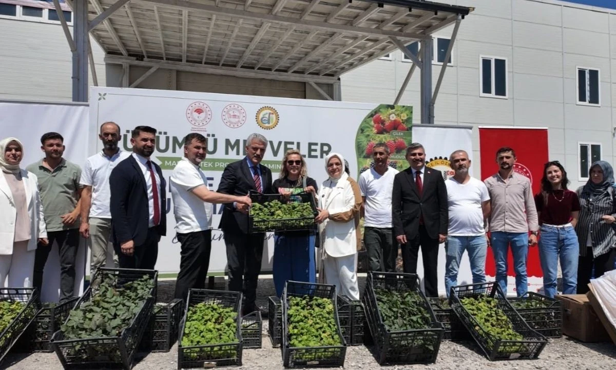 D&uuml;zce&rsquo;de &Ccedil;ift&ccedil;ilere Destek: Fide ve Damla Sulama Sistemi Dağıtıldı