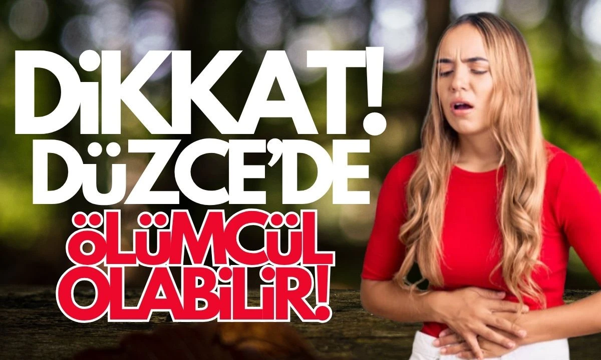 Düzce'de Dikkat ölümcül olabilir! 