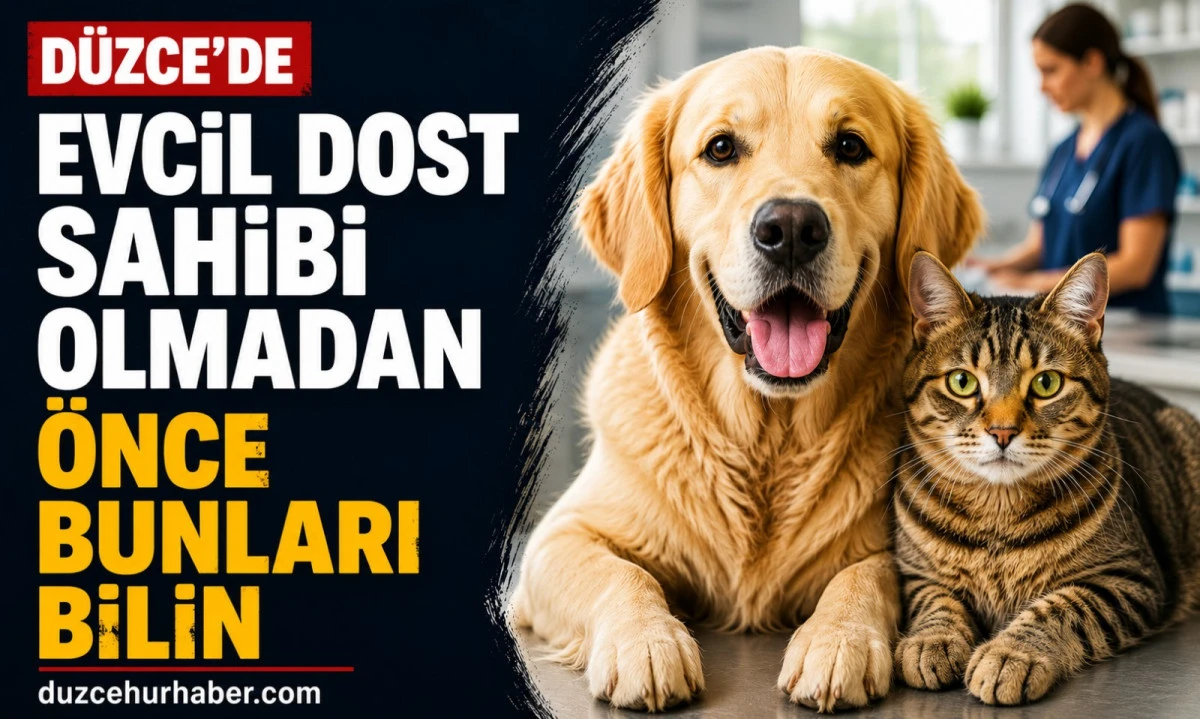 D&uuml;zce&rsquo;de Evcil Hayvan Sahibi Olmak: Mama, Aşı ve Veteriner Rehberi