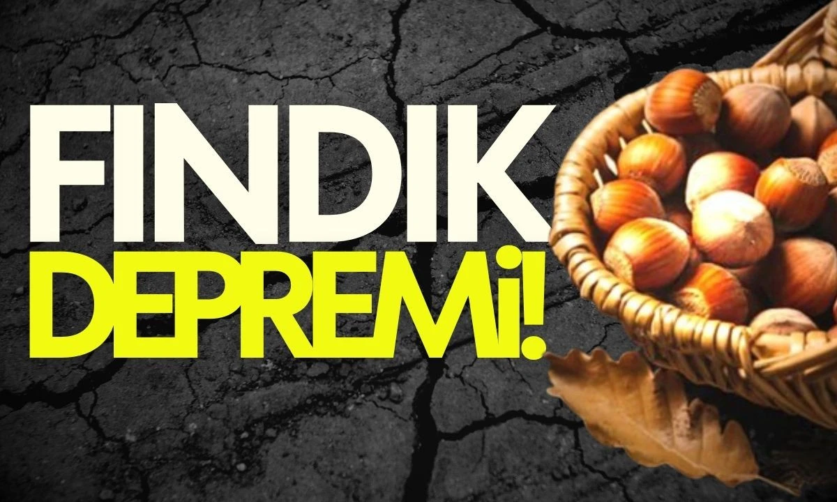 Düzce'de Fındık Depremi