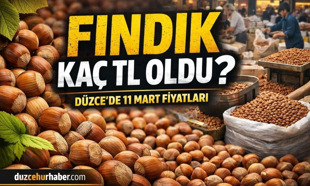 D&uuml;zce&rsquo;de Fındık Fiyatı A&ccedil;ıklandı! 11 Mart 2026 G&uuml;ncel Rakamlar &Uuml;reticiyi Şaşırttı