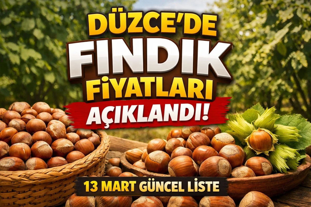 D&uuml;zce&rsquo;de Fındık Fiyatları A&ccedil;ıklandı! İl İl&ccedil;e 13 Mart 2026 G&uuml;ncel Liste