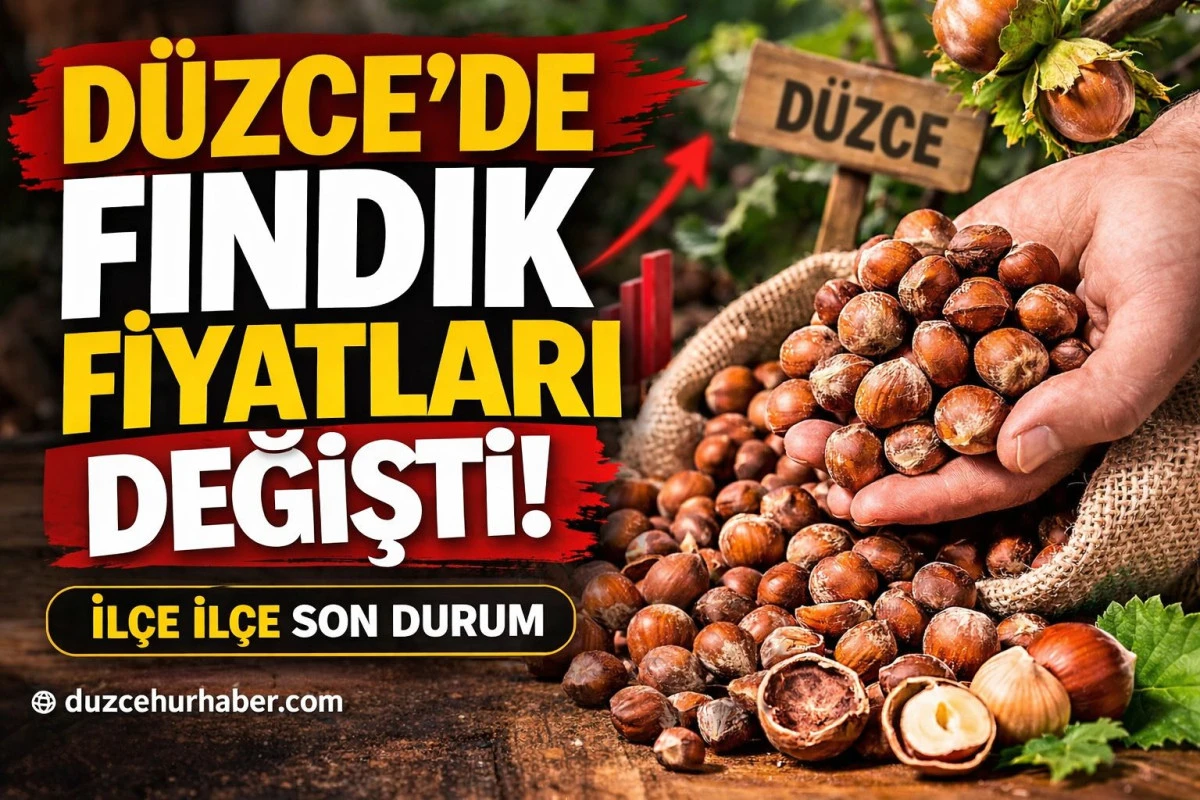 &ldquo;D&uuml;zce&rsquo;de Fındık Fiyatları Değişti! 14 Mart 2026 İl&ccedil;e İl&ccedil;e Son Liste&rdquo;