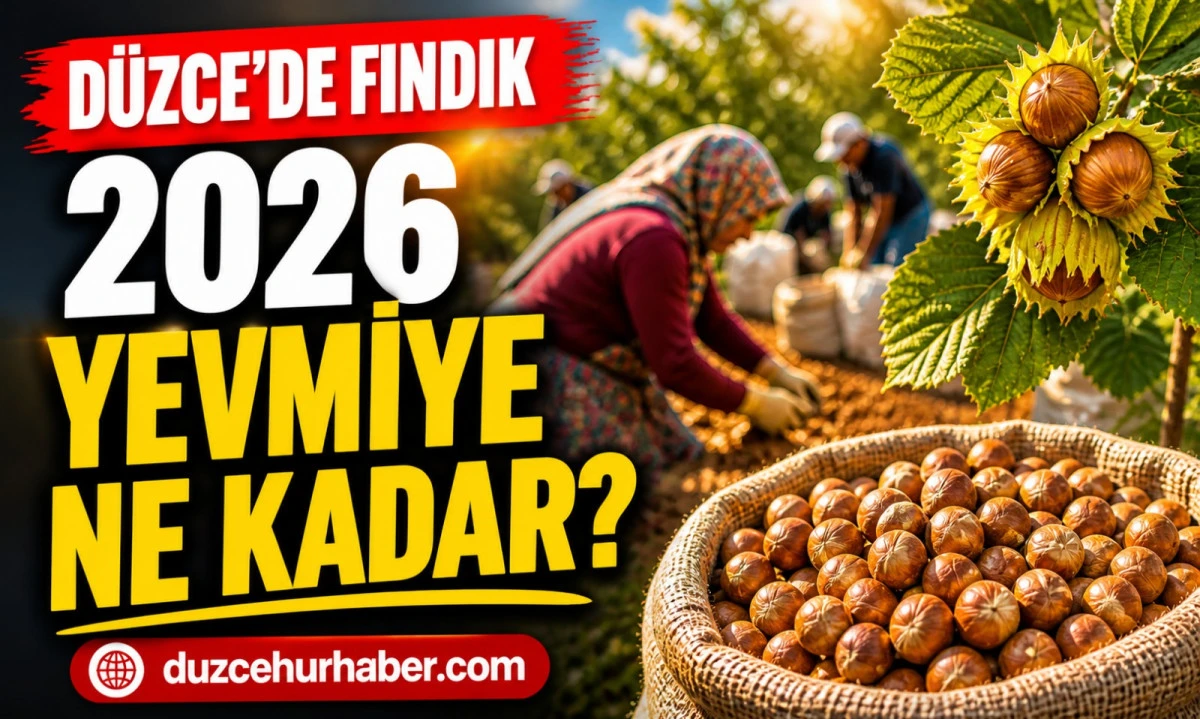 D&uuml;zce&rsquo;de Fındık İş&ccedil;i Yevmiyesi 2026: G&uuml;nl&uuml;k &Uuml;cretler Ne Kadar Oldu?
